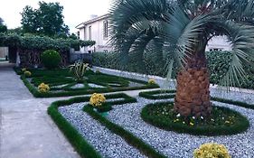 Green Garden